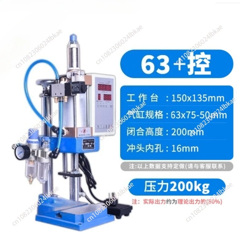 Small Pneumatic Pun…