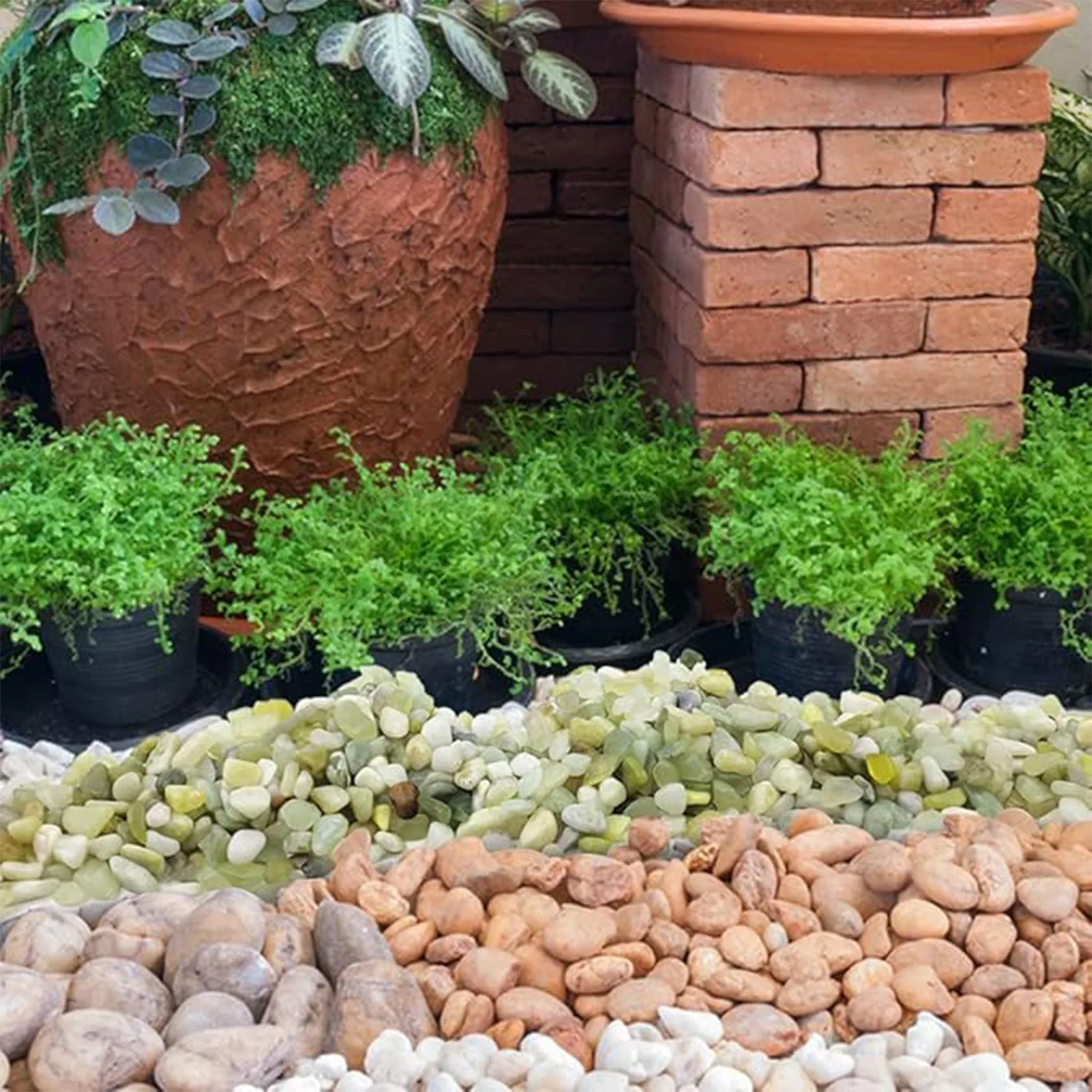 Succulent and Cactus Pebbles, 1/5 Inch Jade Natural Decorative Polished Stones, River Rocks for Indoor Plants, Vases, Planters view 6