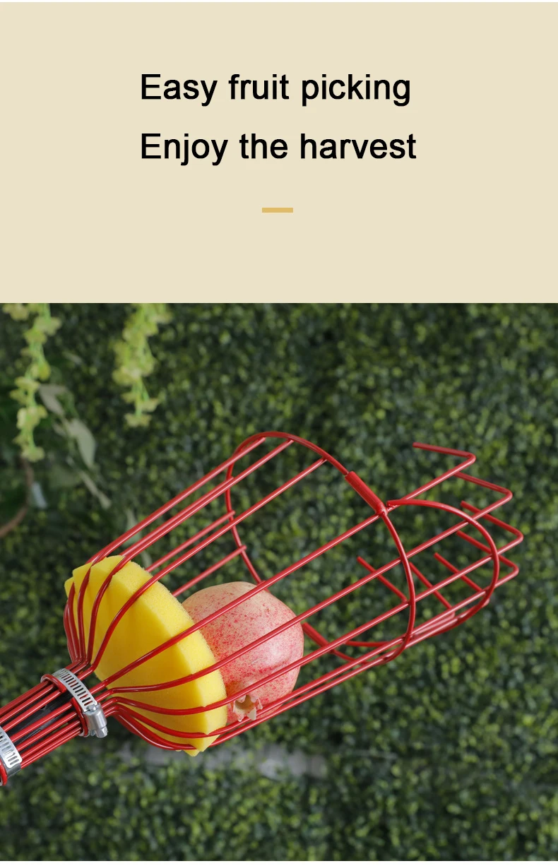 Obstpflücker, Käfigform, Obstkopf, Pflücken, Loquat, Birne, Obstwerkzeuge, abnehmbarer Obstpflücker für Bauernhof, Obstgarten, Gärten, Werkzeug – Detail 21