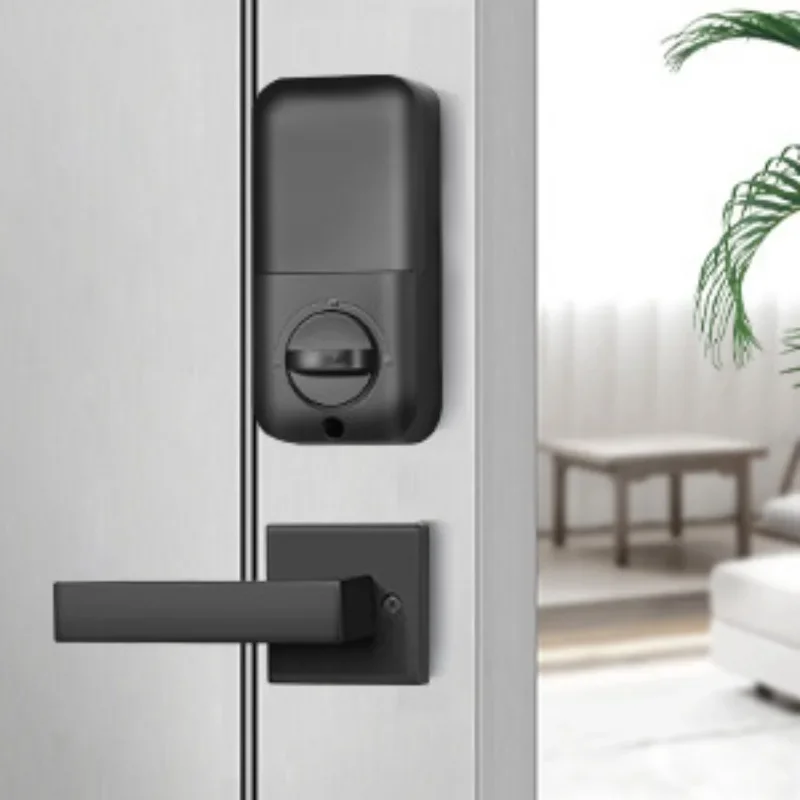 Fingerprint lock, password lock, hidden key lock, American lock, smart lock, can be equipped with door handle lock