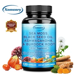 Sea Moss, Black Seed Oil, Ashwagandha & Burdock Root - for Boost Energy and Muscle Mass