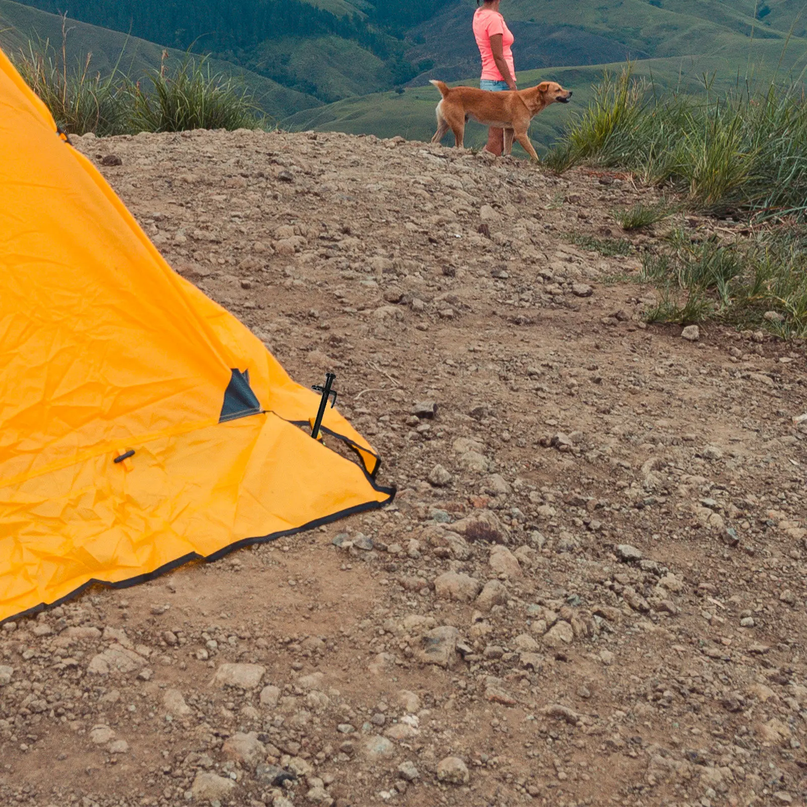 

Набор из 4 профессиональных металлических колышков для крепления палаток, тентов, тарпов, ландшафтной ткани, растений и газонов на земле