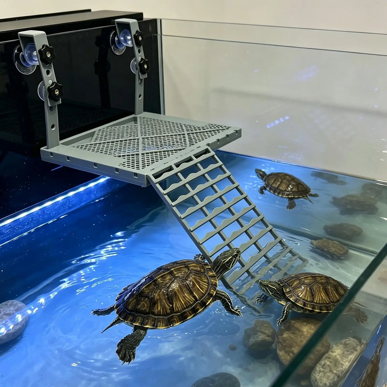 Turtle Docks For Basking Clip On Elevated Feeding Tray Gallon Tank Floating Turtle Dock For Indoor Outdoor Aquarium Terrarium
