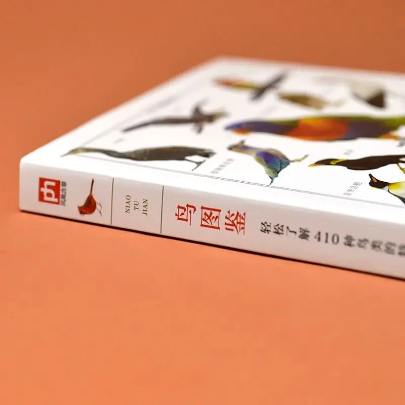 Рисунок 2 - Иллюстрационная книга птиц/иллюстрационная