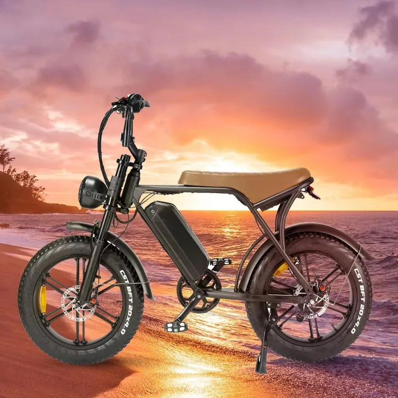 

V8 20" Fat Tire Electric Bicycle 48v 250w/350w/500w New Model Electric Folding Bike Fat Tire