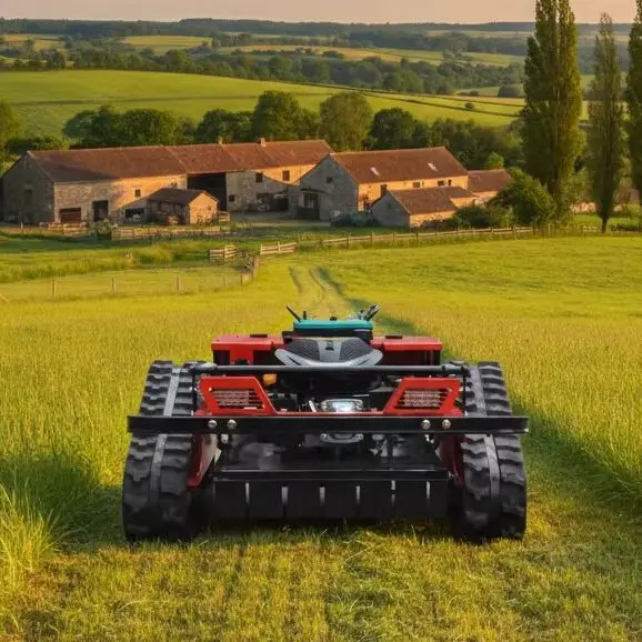 

Compact 500mm Remote Grass Cutter CE Certified Euro 5 Lawn Mowing Machine for Orchard Tasks