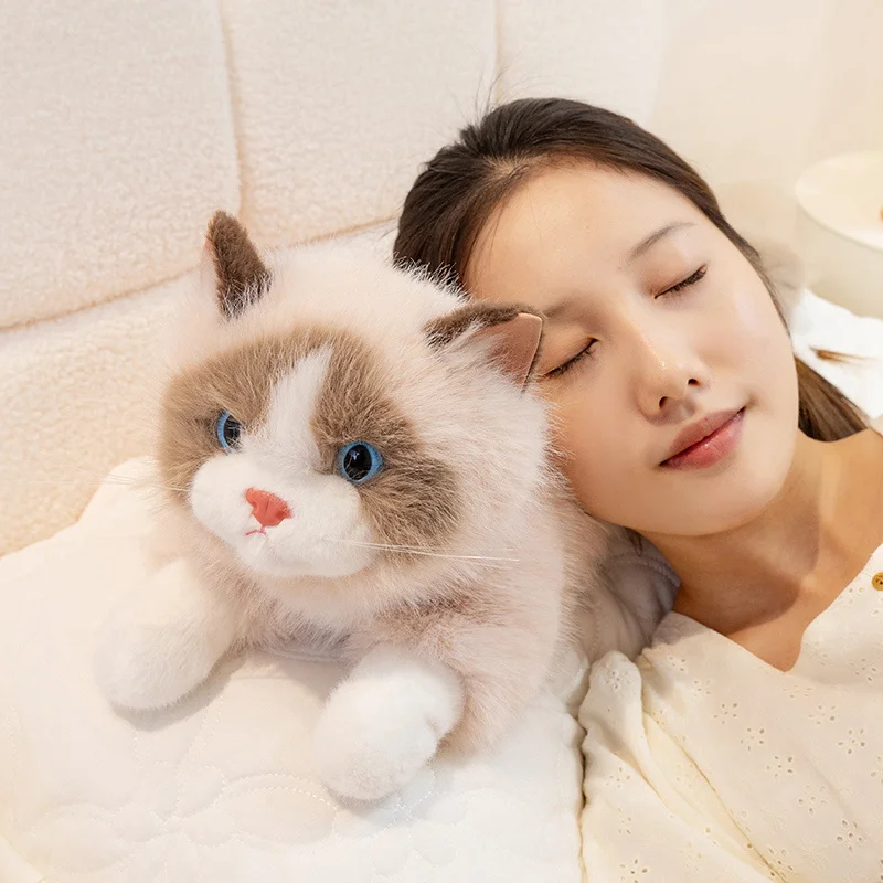 Simulatie Ligge gevoelig Houding Katten Marionet Knuffels Gevuld Zacht Dier Kat Poppen voor Kinderen Baby Verjaardagscadeautjes Home Decor