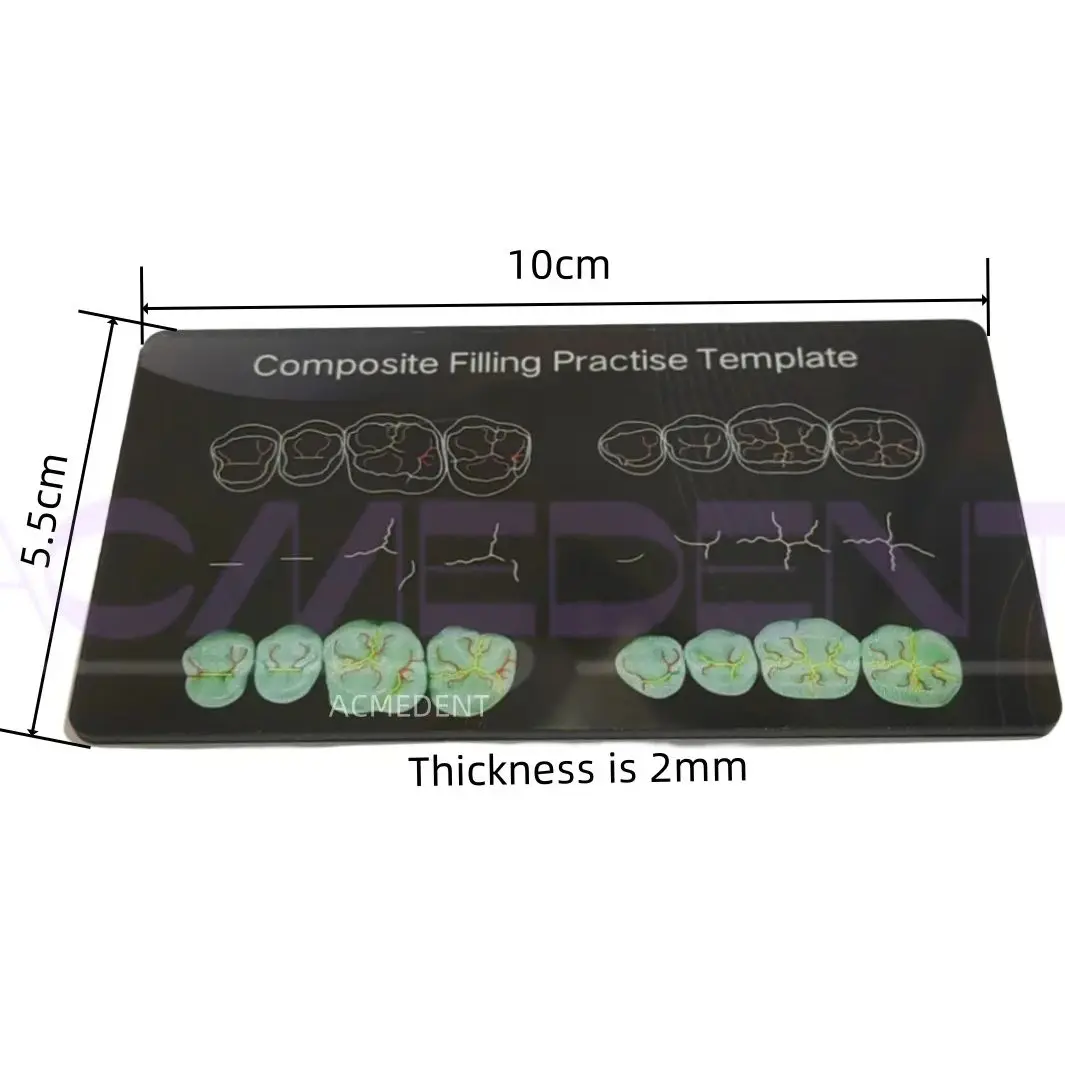 Stomatologiczne badanie dydaktyczne szablon do napełniania żywicy kompozytowej zęby molowe anatomiczna praktyka modelowa tablica