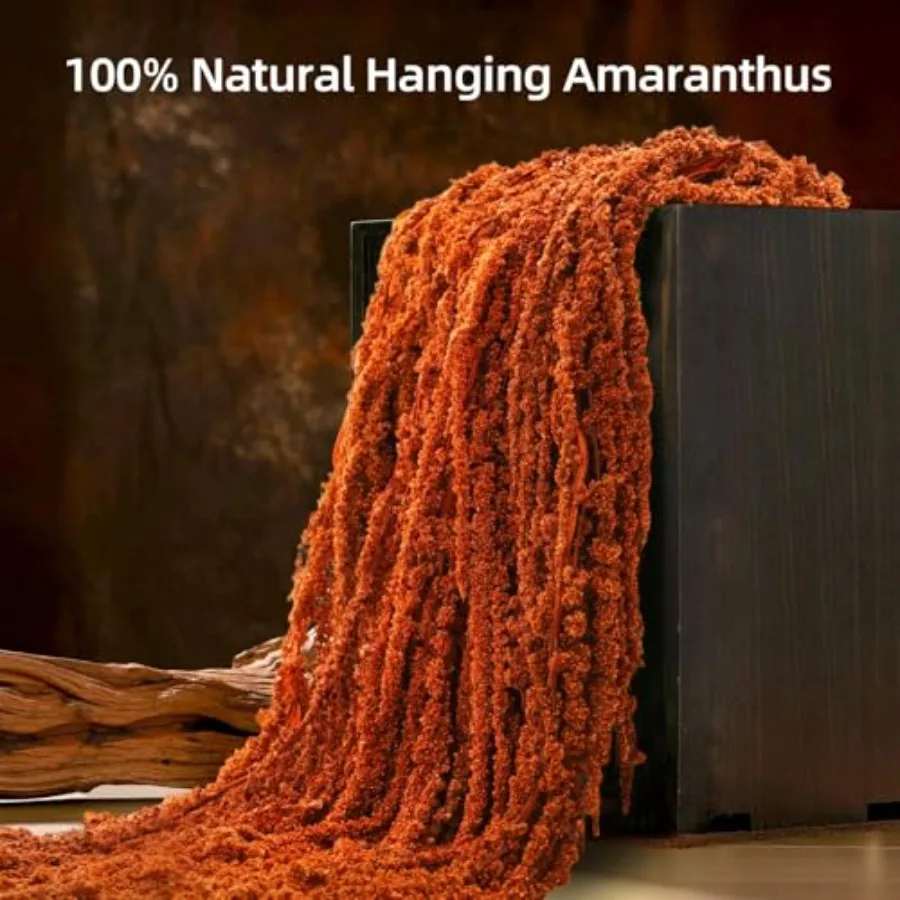 5 قطعة أمارانثوس المجففة زهور معلقة زهرة محفوظة طبيعية لمعرض قوس الزفاف الجدار الشنق عاشق الدموع الأزهار أرا #2