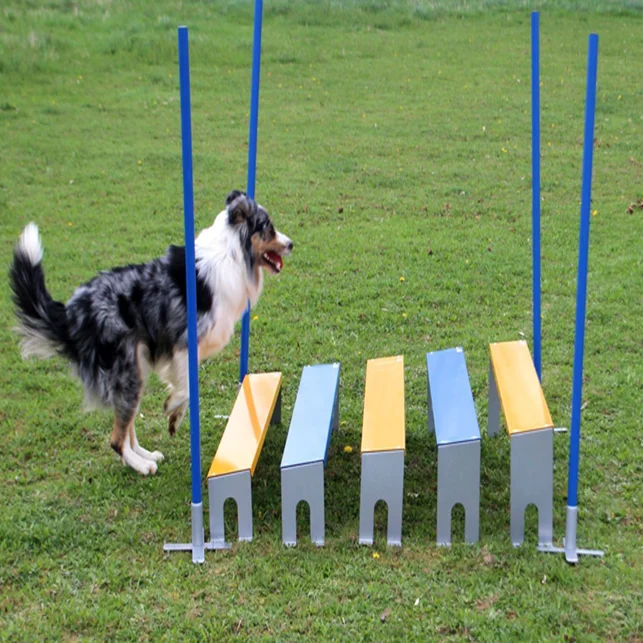OEM/ODM FCI International Competition Four Poles Dog Agility Training Seesaw Premium Metal Material Jumping Platform for Pet