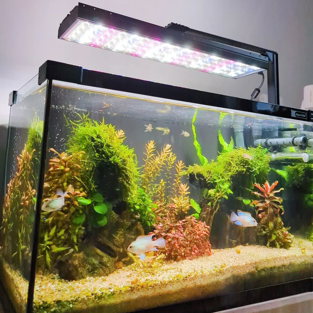 Imagem -02 - Luz Led do Aquário com Temporizador Luz do Tanque de Peixes Lâmpada Decoração do Aquário Luzes Frescas Plantadas Nascer e Pôr do Sol 40180cm