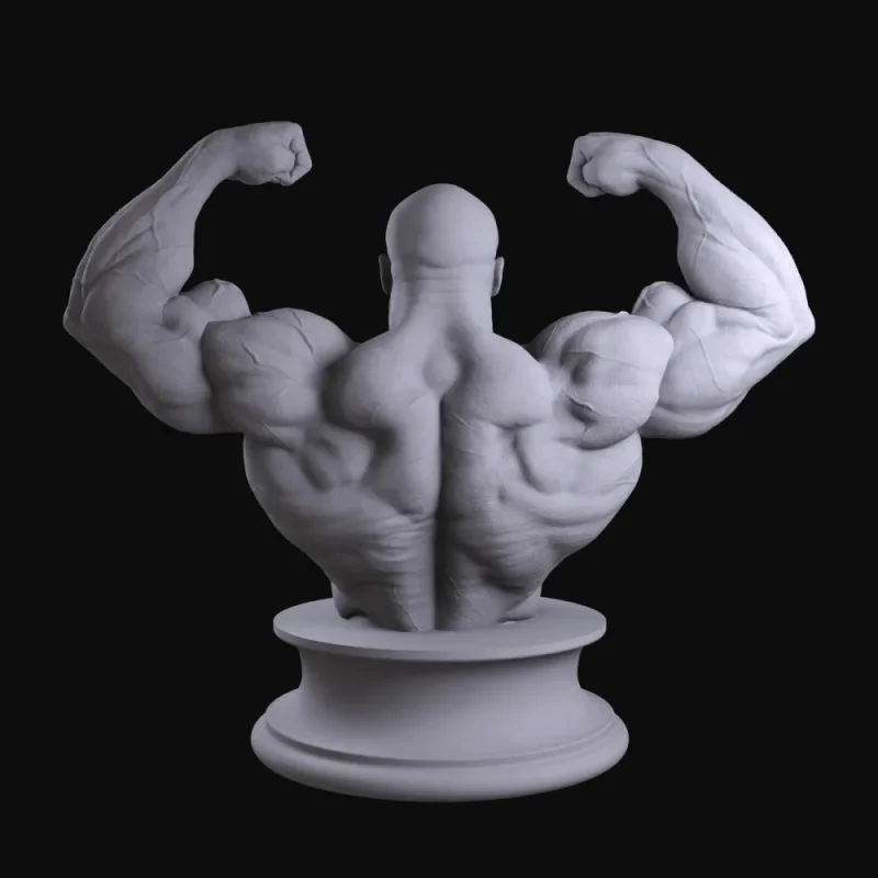 Fitness Trophy Model - Schwarzenegger Roni - High-Precision Detailed Plaster Bust as a Collectible Display Item as a Gift view 6