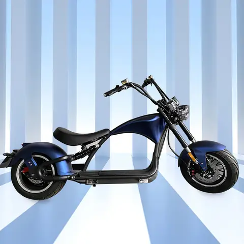 12-tums 2000W 2-hjuls självbalanserande skoter motorcykel elektrisk skoter med CE EEC 6 best sales motorcykel elektrisk skoter - №1