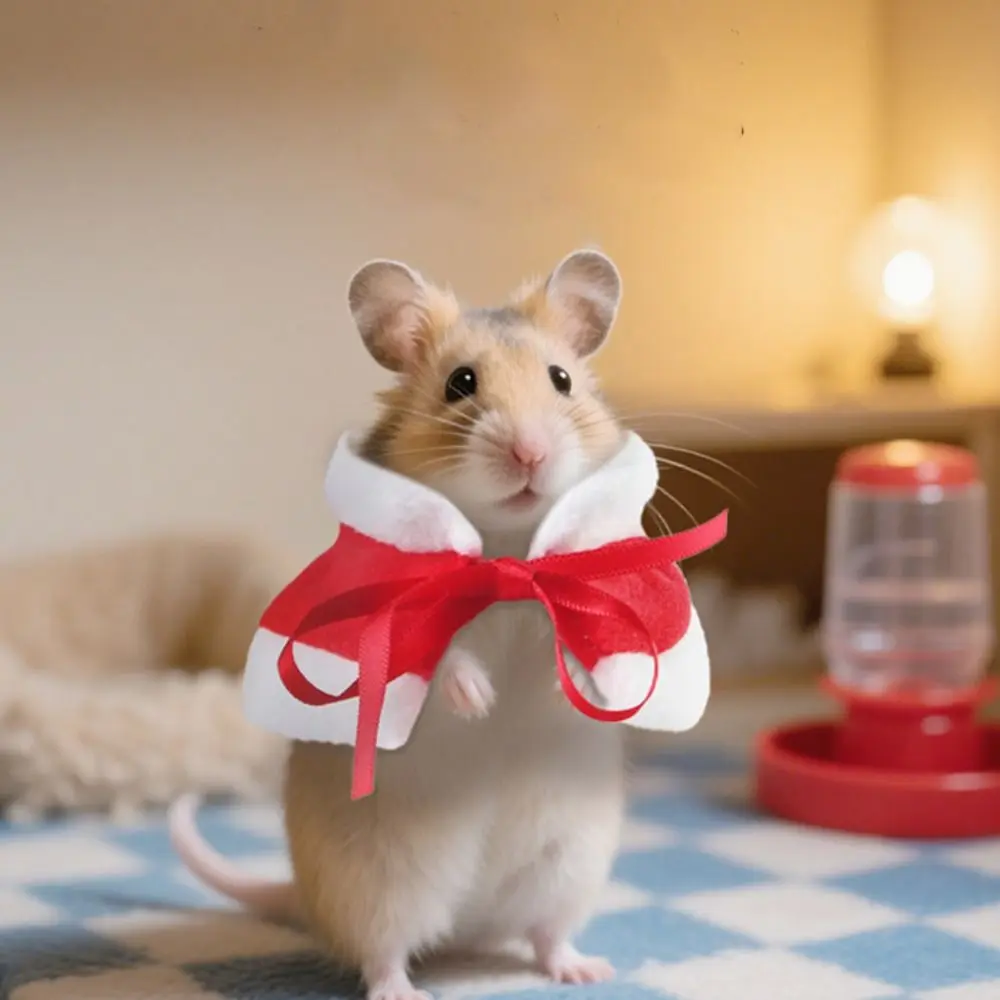 Warm Hamster Cloak Festive Windproof Parrot Christmas Cape Adjustable Comfortable Pet Hamster Outfits