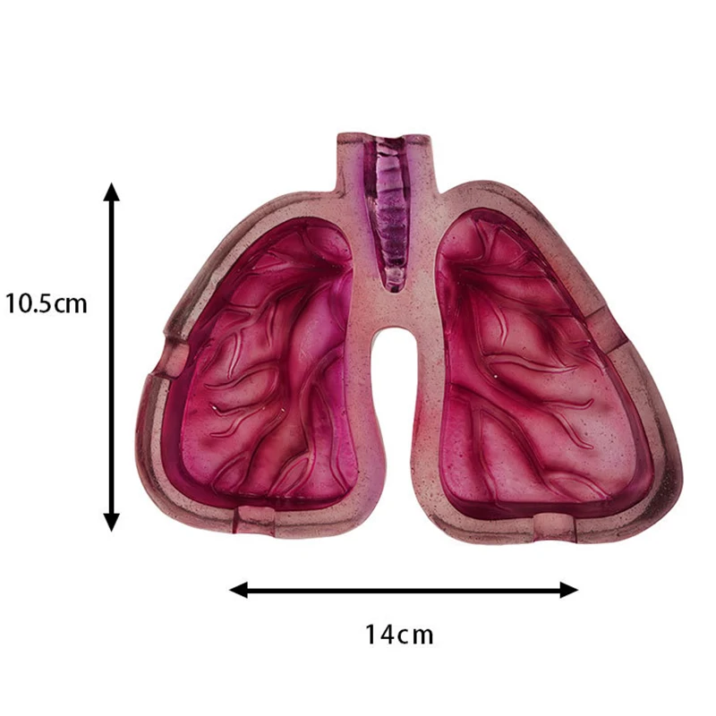 Creative Funny Lungs Ashtray Cigarette Tray Container Resin Smoking Accessories Hotel Office Desktop Decorations