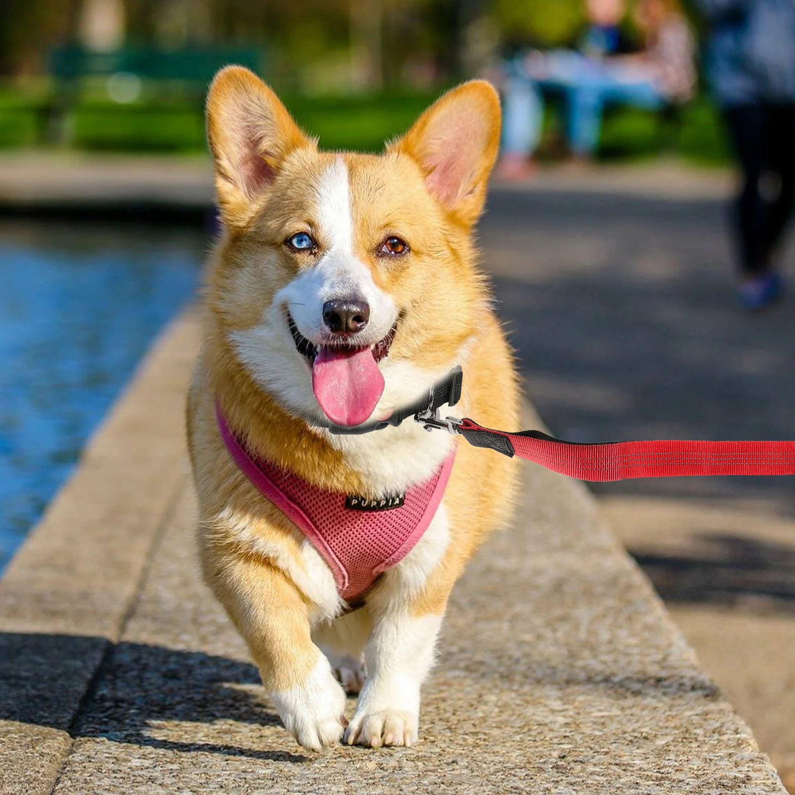 

Dog Leash Black Red Large Bungee Polyester Rope Waist Belt Retractable H Free Pet Traction Running Walking Jogging Traveling