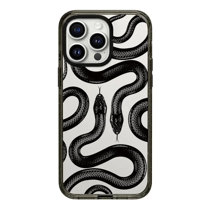 

Upgrade Acrylic Border Black Snake Phone Case Cover for IPhone 11 12 13 14 15 Pro Max Case for IPhone 15 Pro Max
