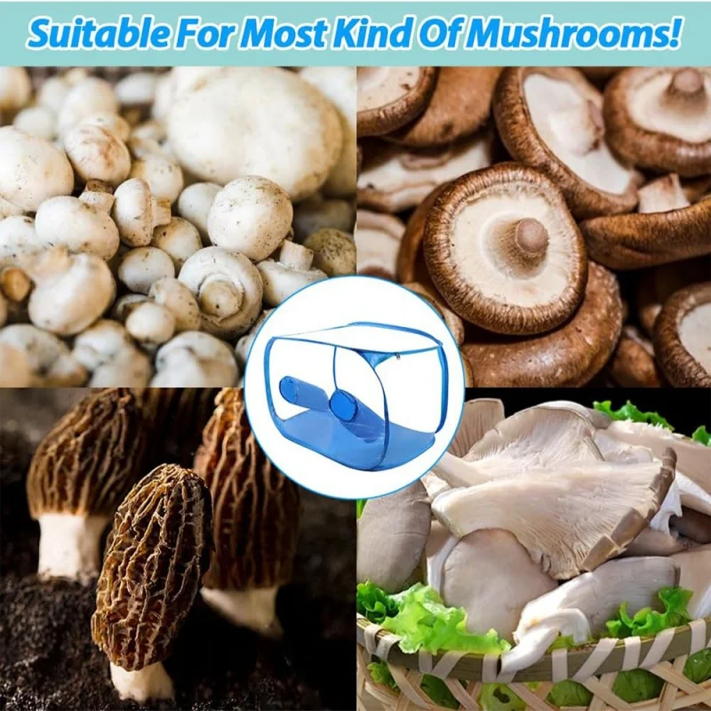 صديقة للبيئة بسهولة تجميعها 79X51X51cm صناديق الهواء لا تزال صندوق القفازات مجموعة معدات نمو الفطر المختبرية