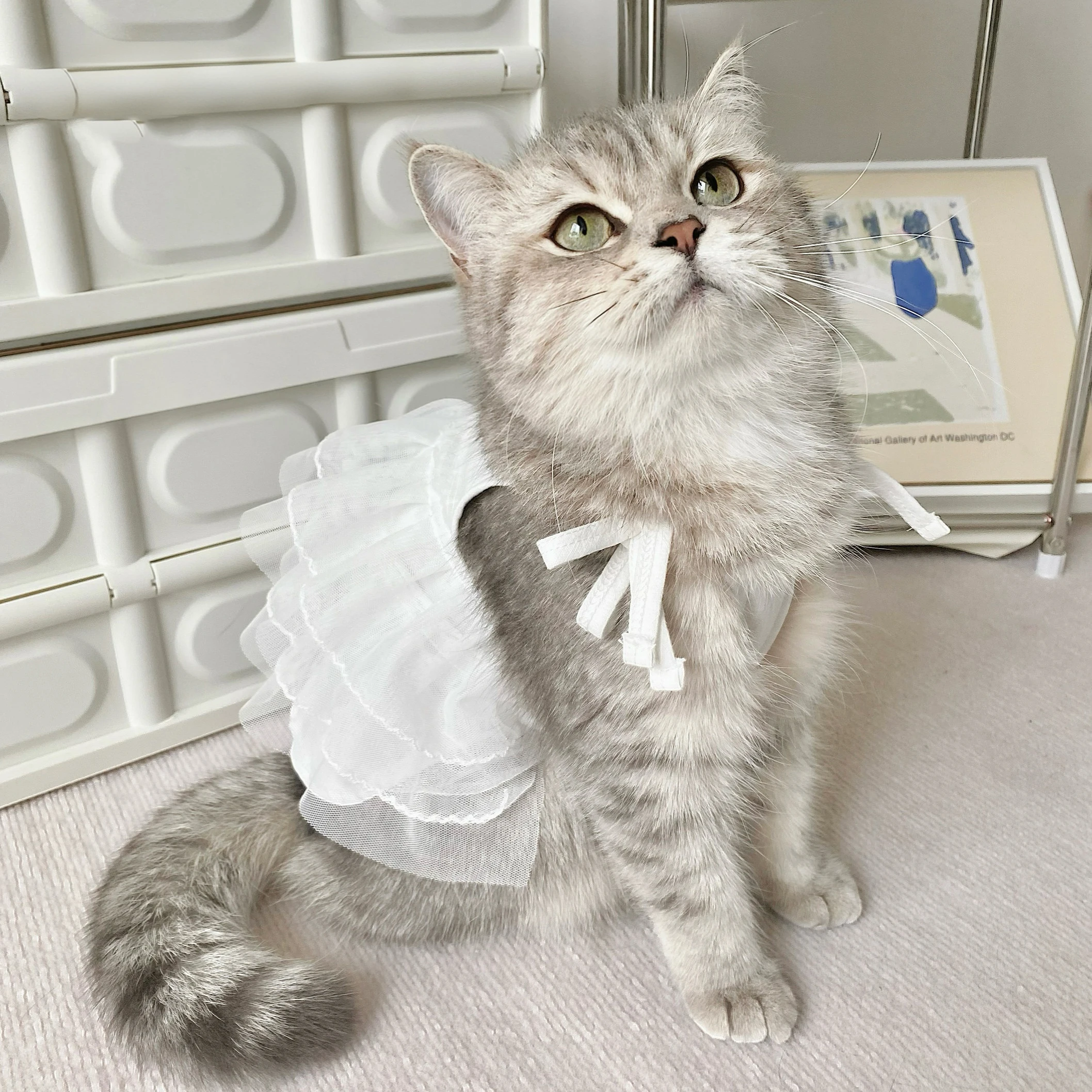 

Maltese Princess Skirt Summer Bichon Frise Vest Teddy White Sling Small and Medium Dog Anti-Shedding Clothes Dog Products