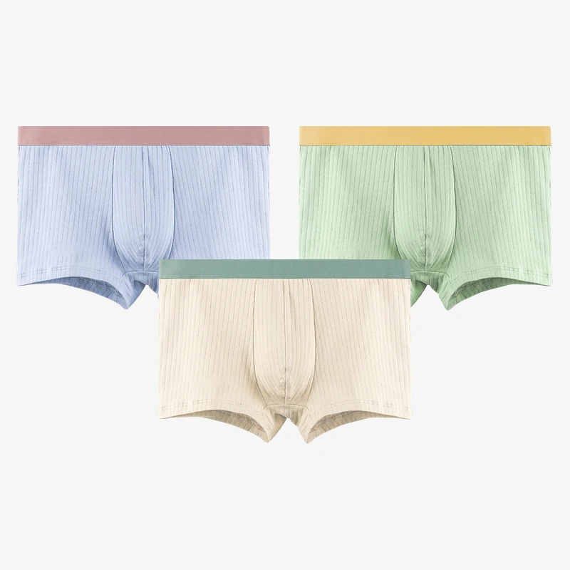 

3 шт. мужское нижнее белье, мужские антибактериальные хлопковые боксеры, летние тонкие шорты больших размеров, дышащие спортивные боксеры для мальчиков