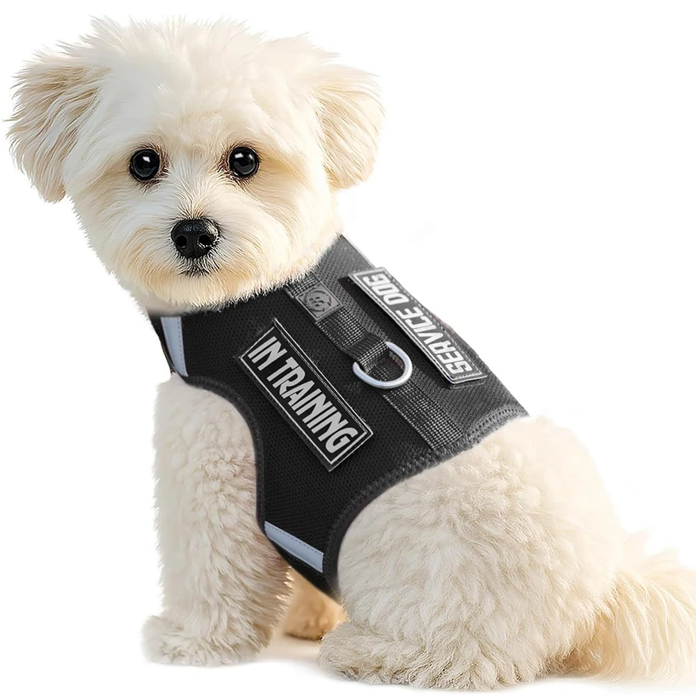 

Reflective Small Dog Harness Vest Puppy Harness Step in Soft Breathable Mesh Pet Kitten Harness Safe Easy Walk for Small Dog Cat