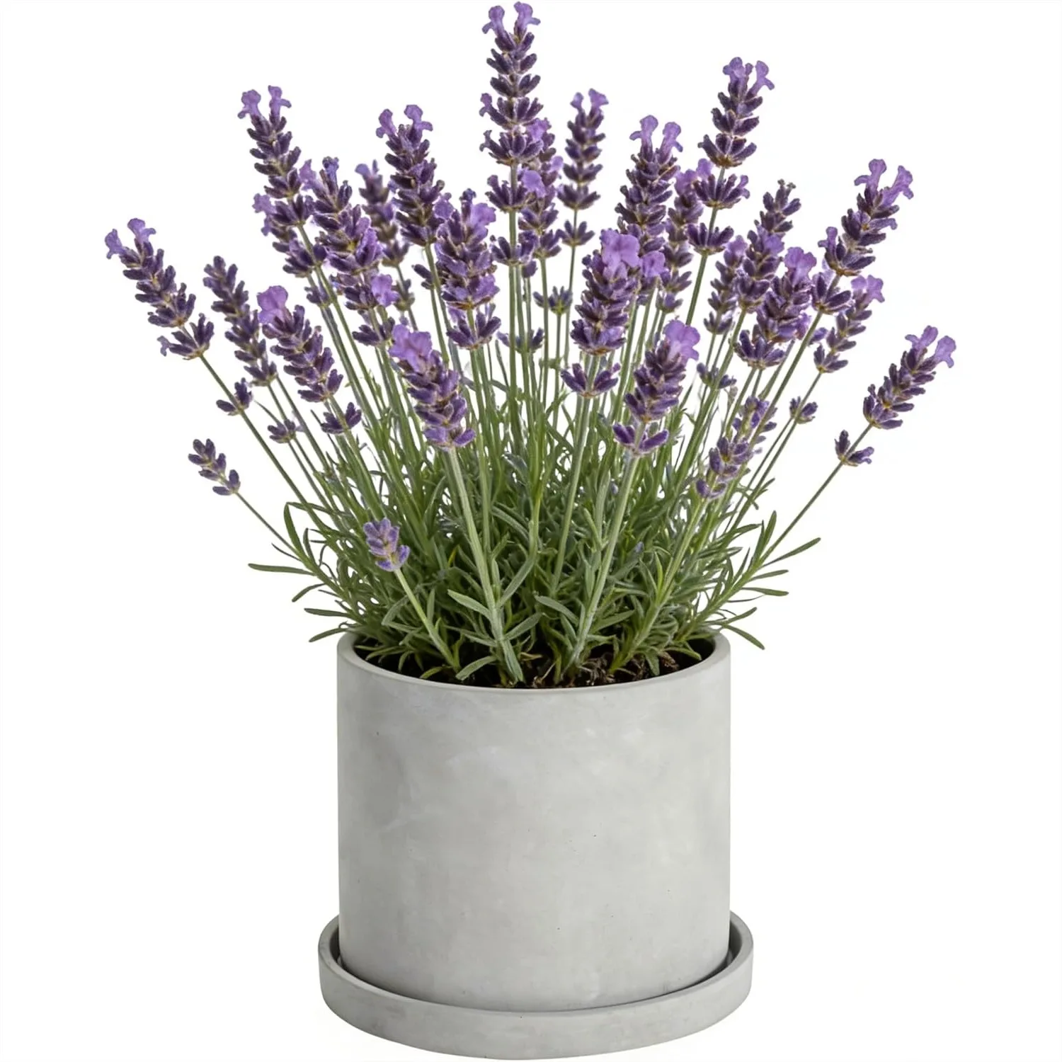 7 Inch Cement Plant Pot with Drain Hole and Saucer Tray, Modern Concrete Planter for Indoor Succulents, Garden Home Decor