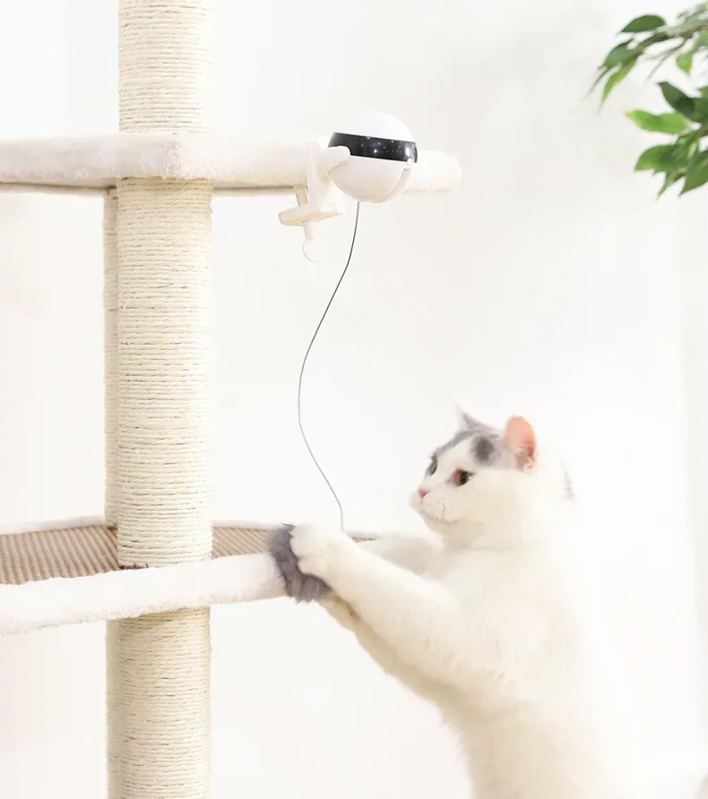 Indoor Cat Electric Cat Toy Electronic Lifting Ball Automatic Lifting Ball Retractable Rope Lifting Pompom Interactive Cat Educa