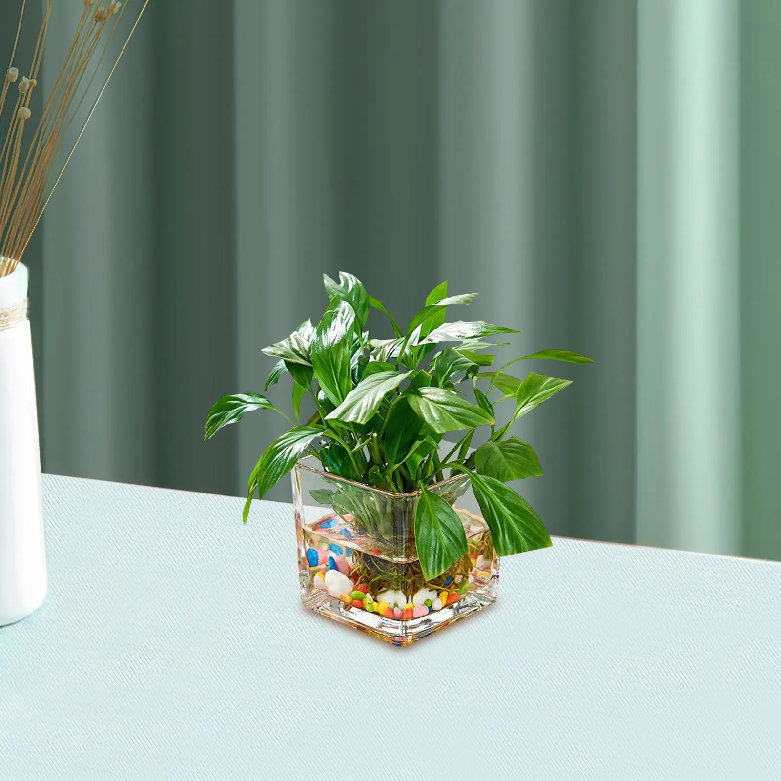 

Clear Cube Glass Vase 10x10cm Hydroponic Planter Modern Flower Vase for Home Office Decorative Unique Design Flower Vases Unique