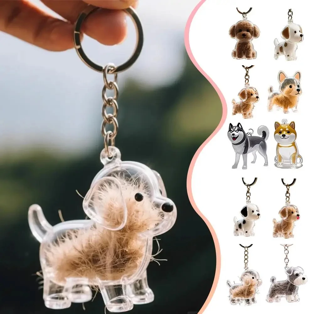 Transparent Dog Hair Collection Pendant Cute Pet Hair Storage Capsule Portable Keychain Souvenirs Creative Gift for Pet Lover