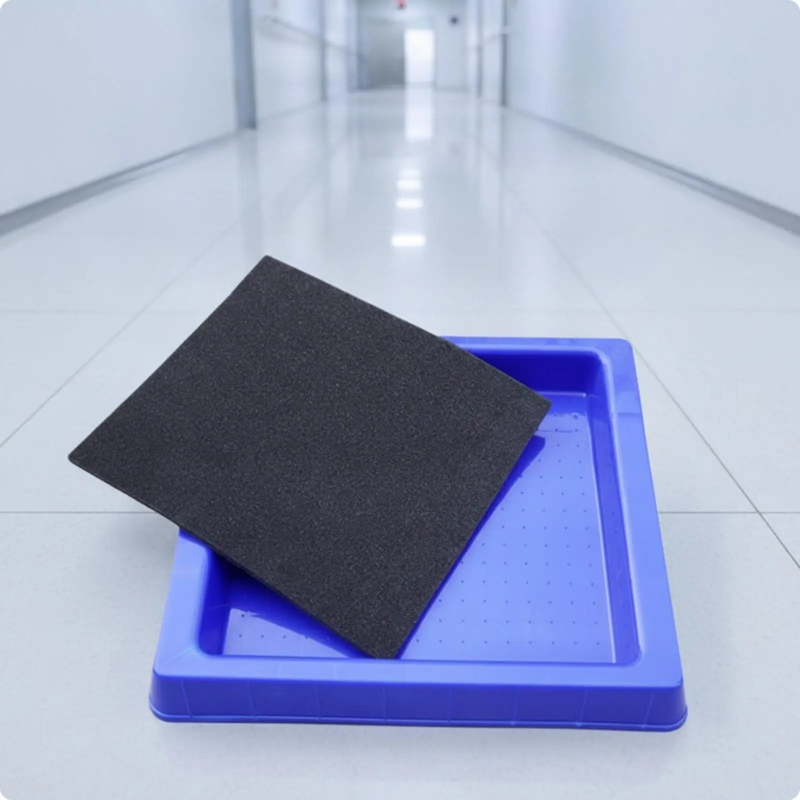 Biosecurity Disinfection Footbath Basin with Absorbent Sponge for Pet Hospital Entryway Shoe Container
