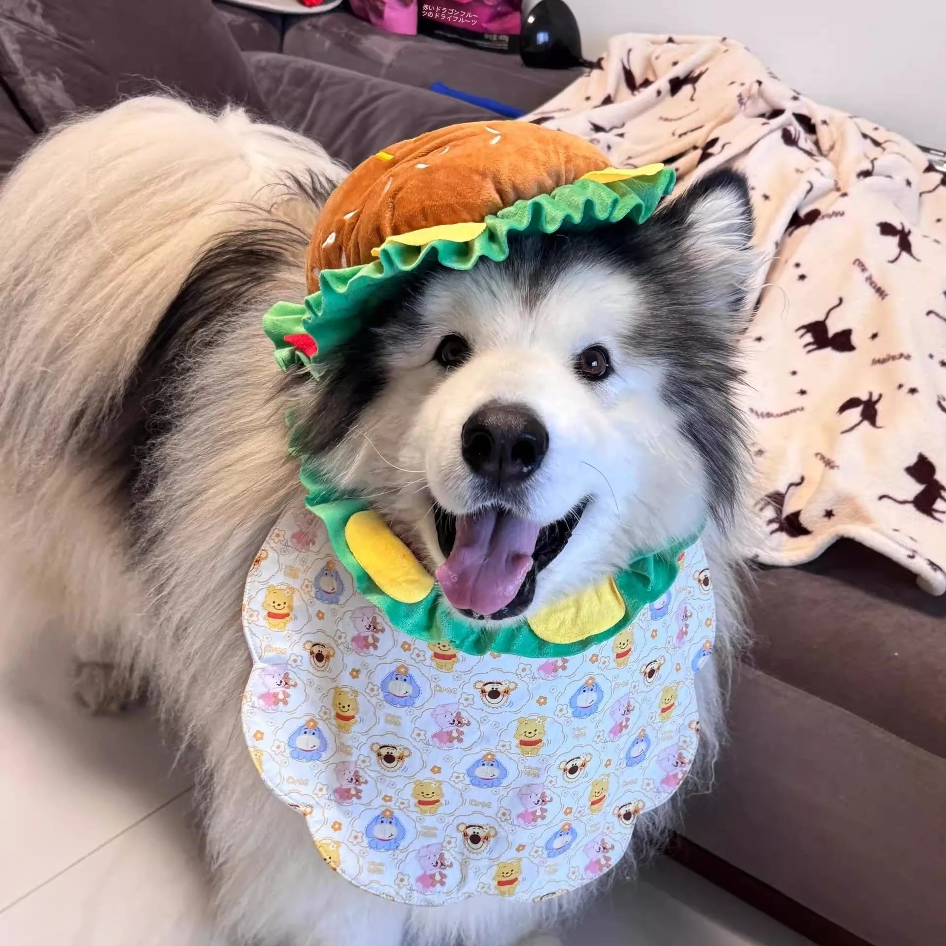 かわいい犬用帽子ペットネックリング大型犬服アラスカ面白い犬用写真小道具犬用クールな感覚機能性