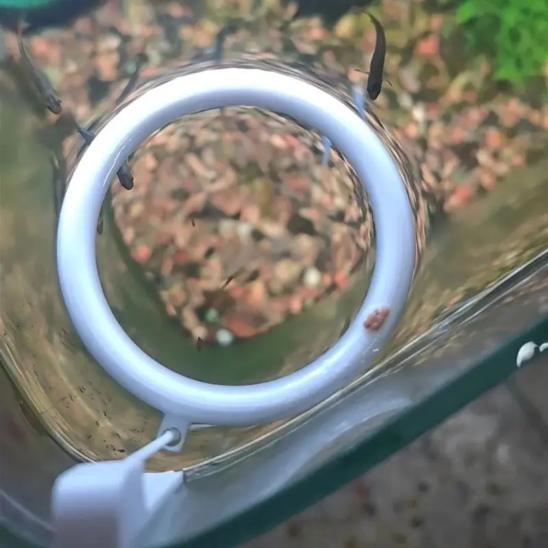 Anti-Scatter Floating Feeder Ring for Aquariums Maintains Clean Feeding Zones in Tanks