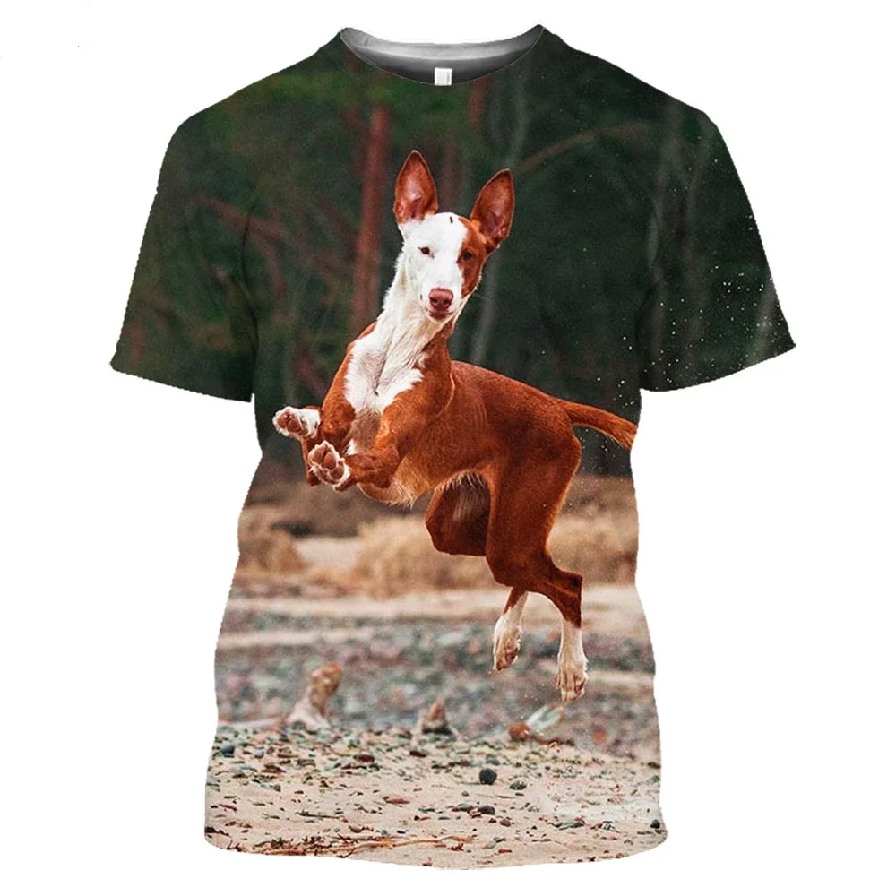 تيشيرت بأكمام قصيرة للرجال والنساء ، كلب مراهق ، سريع الجفاف ، حجم كبير ، صيد ، كلب الصيد ، ثلاثي الأبعاد ، قميص هاراجاو ، صيف