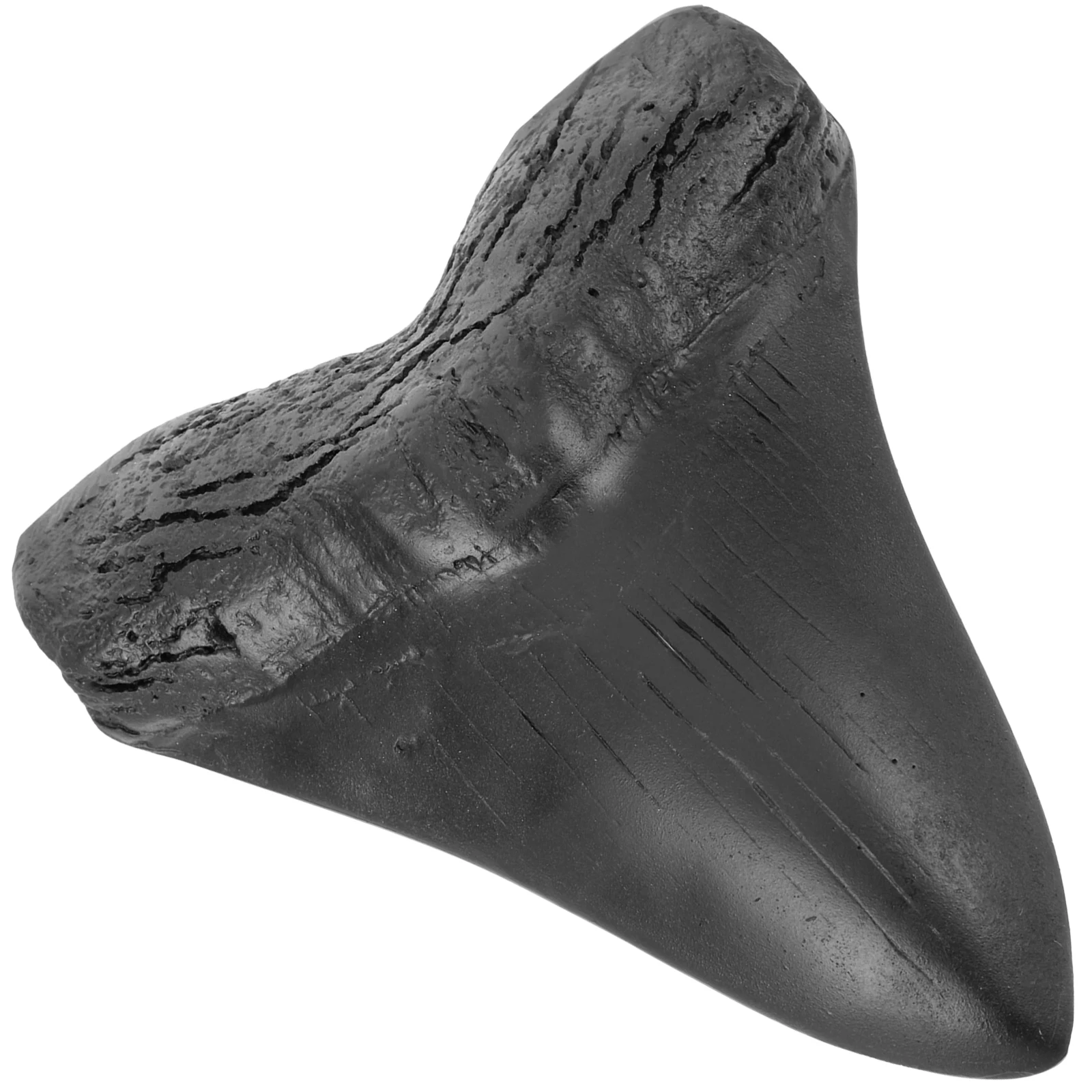 

Tooth Home Decor Vintage Sharks Model Toys Student Fossilized