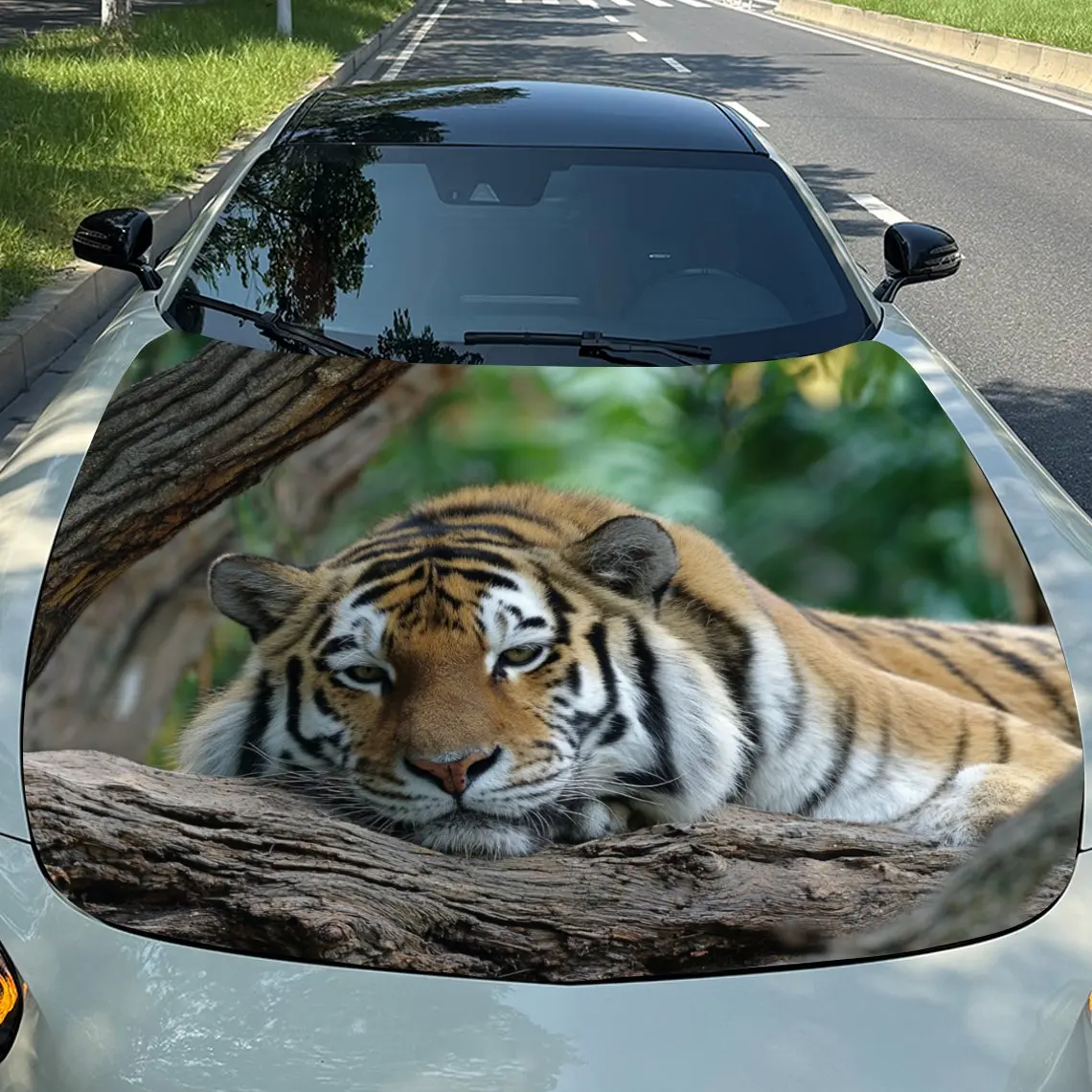 

Car Decals Realistic Tiger Resting on a Tree Branch in a Lush, Green Forest Car Hood Sticker, Waterproof Self - Adhesive Vinyl G