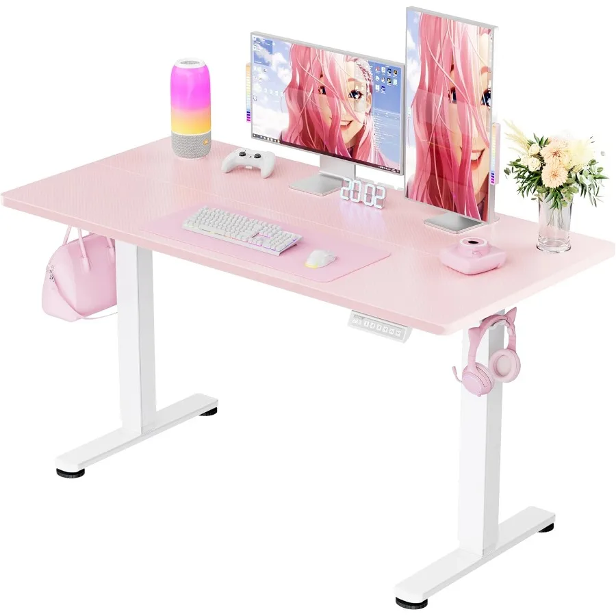 Height Adjustable Electric Standing Desk 48 x 24 Inches Sit Stand Up Desk with Memory Function for Home Office and Workstation