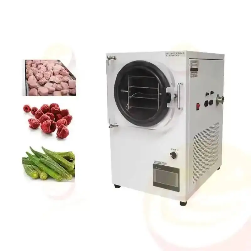Freeze Drying Machine Small Vacuum Lab Freeze Dry Machine Home Use Mini Food Freeze Dryer Machine