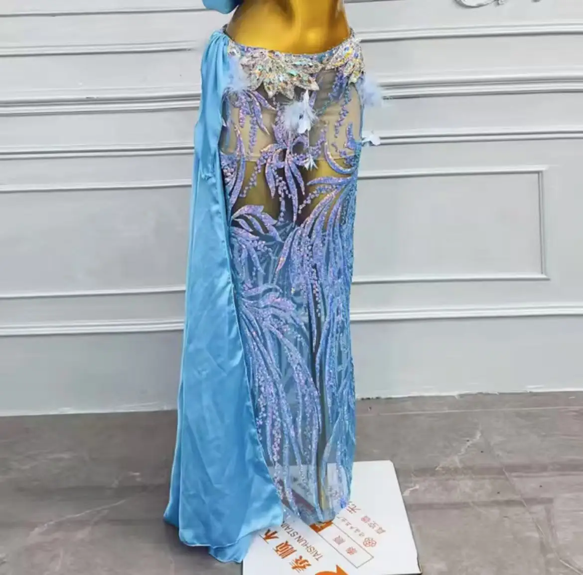 Costume de danse du ventre professionnel pour femmes, soutien-gorge à paillettes, ensemble jupe longue, vêtements de spectacle sur scène, tenue de fête de compétition, 2025