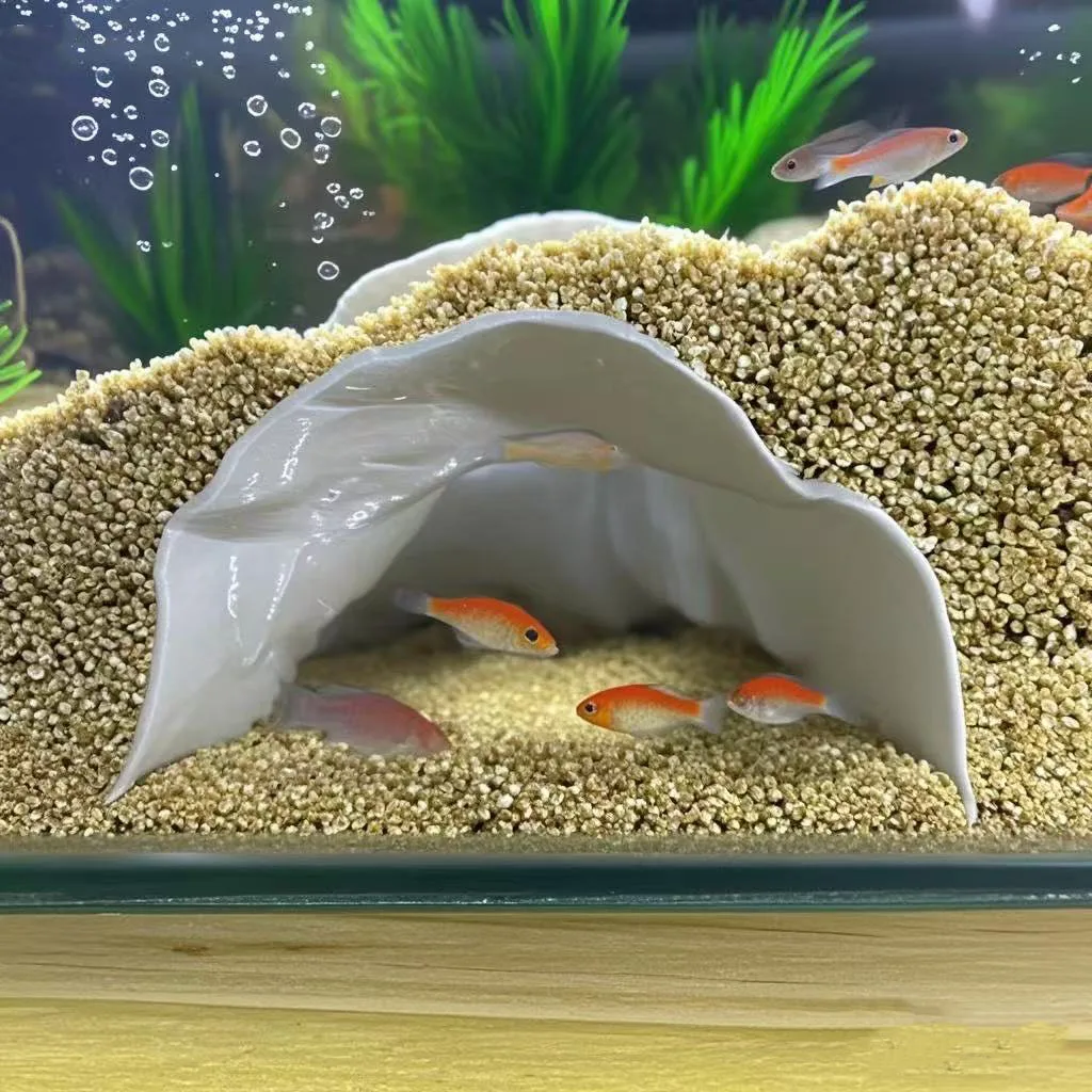 Aquarium Cave Corava Observation Cave | Aquarium & Terrarium Decor | Natural Hide for Fish, Plecos, Shrimp or Reptiles