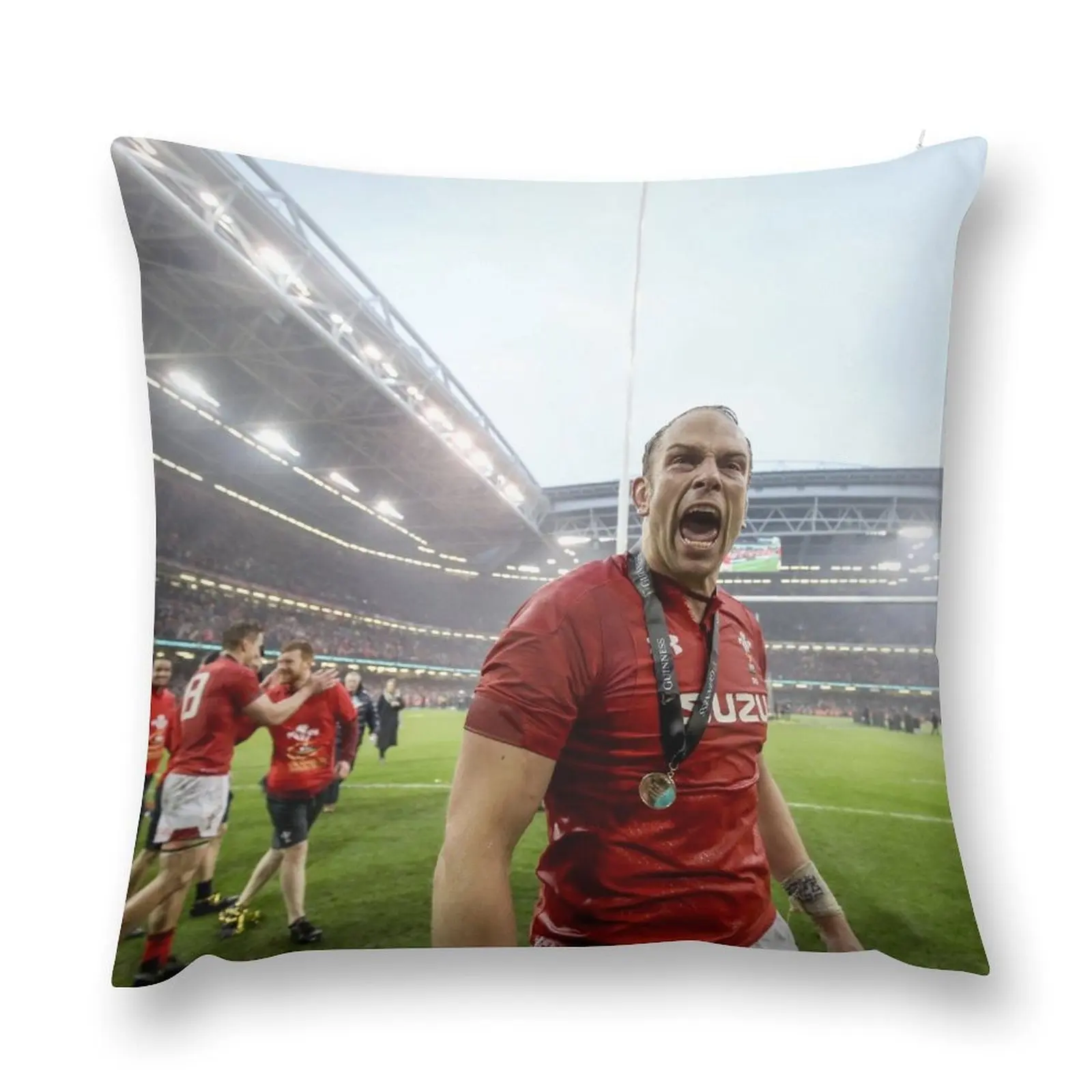 

Alun Wyn Jones Wales Rugby World MVP Throw Pillow Decorative Cushions For Living Room luxury decor pillow