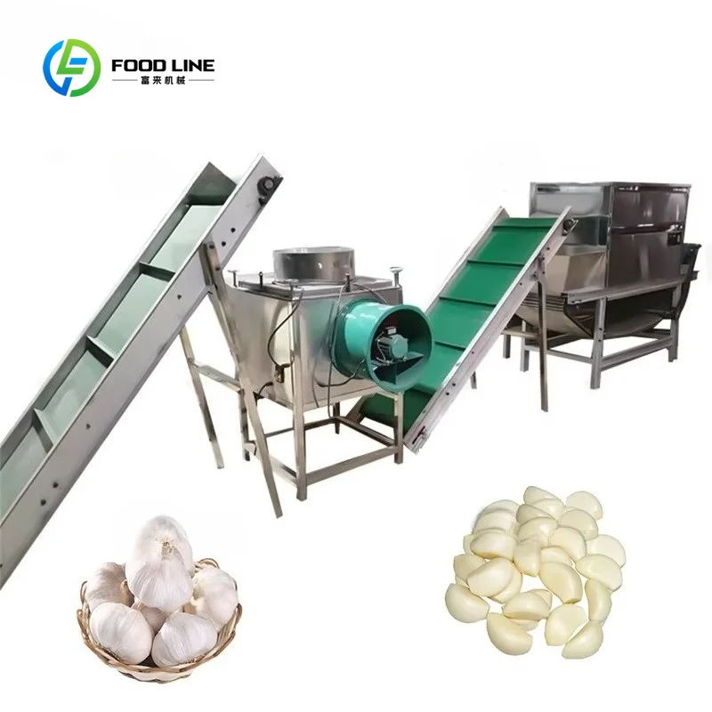 Customized Dry Garlic Peeler Equipment Automatic Garlic Skin Removing Machine for Large Scale Use