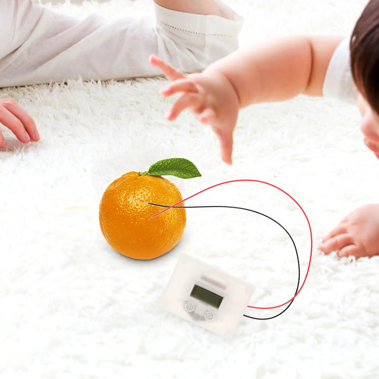 1Set Fruit Battery Project Kit Safe Non Toxic Educational Science Experiment Supply for Learning Principle of Power
