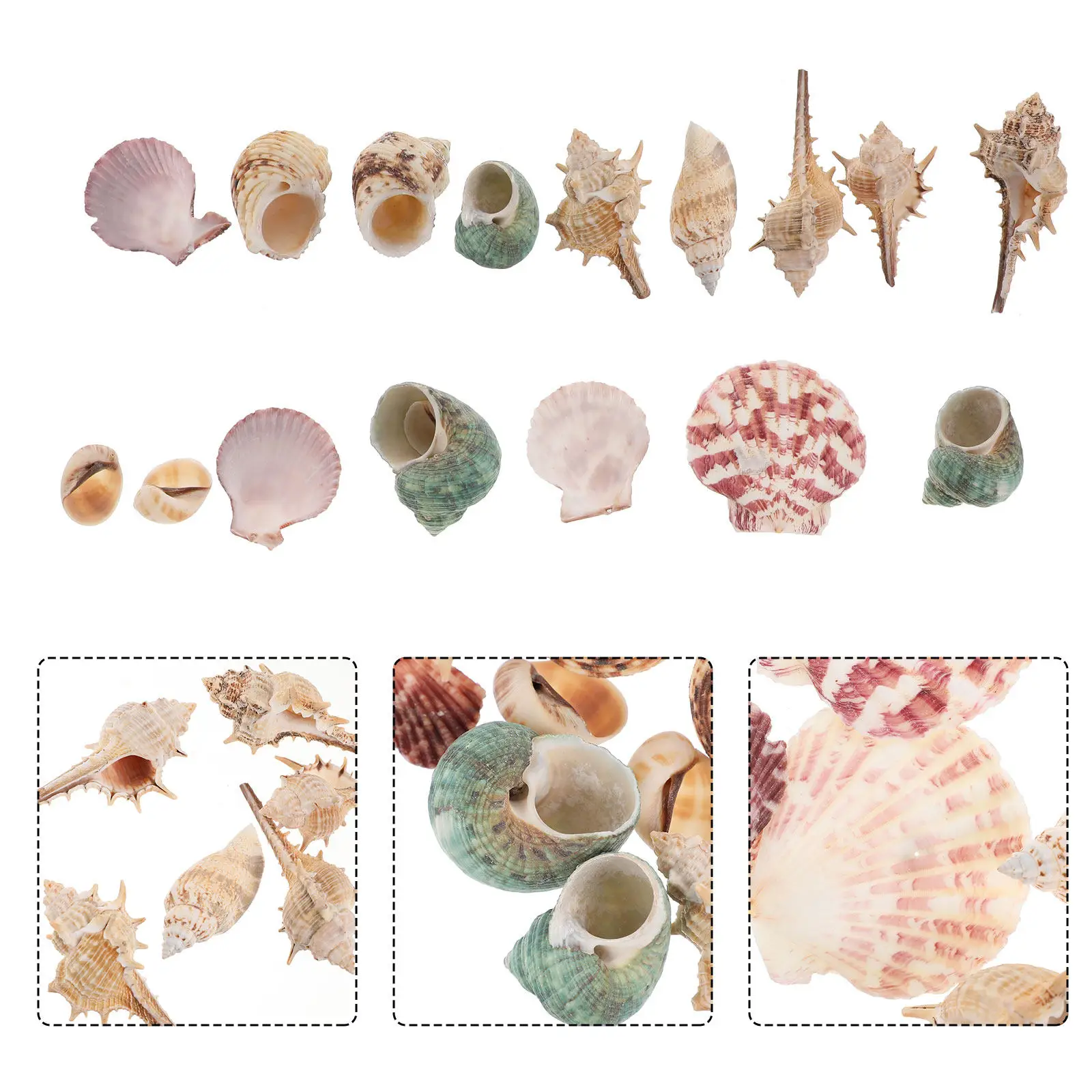 1Pack Simulation Conch Shells Aquarium 200G Fish Tank Decor Lifelike Natural Landscape Accessory Aquarium Decor