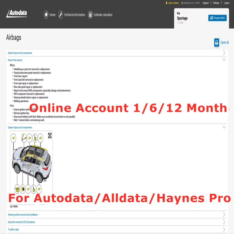 Online-Konto für Autodata Auto Data / Alldata / Haynes Pro Werkstatt-Reparatursoftware-Diagramm 99 % Auto-Wartung Vollständiger Datenbank