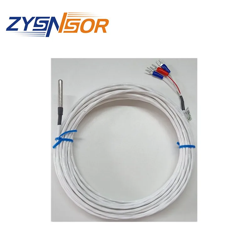 EYC Temperature Sensor PT100 with A Diameter of 5mm and A Pipe Length of 40mm and A Wire Length of 10m, Made of 304 Material