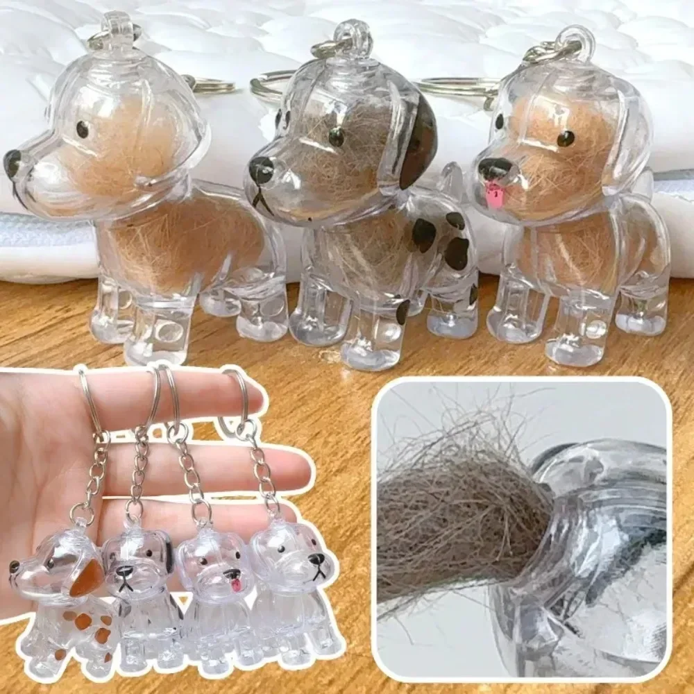 Pet Hair Keepsake Capsule Keychain, Transparent Memorial Storage Capsule for Dog & Cat Fur, Great Gift for Pet Lovers