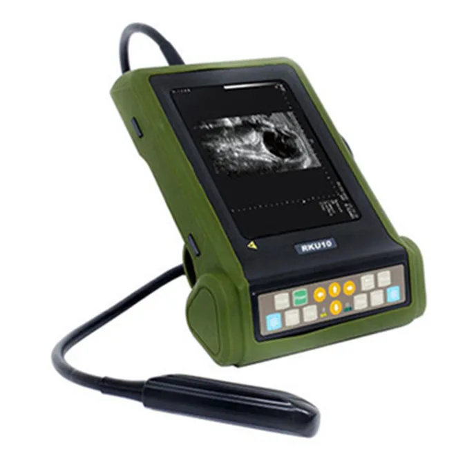 Veterinary Ultrasound Portal RKu10 Ultrasound Rku 10 Ecograph Kx Veterinary Ultrasound