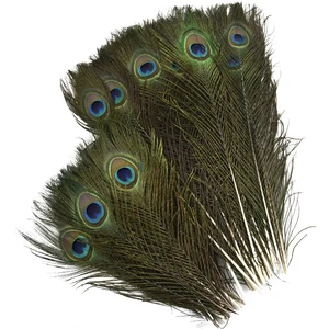 أعلى 5 مبيعات مزهرية ريشة الطاووس - رقم 4