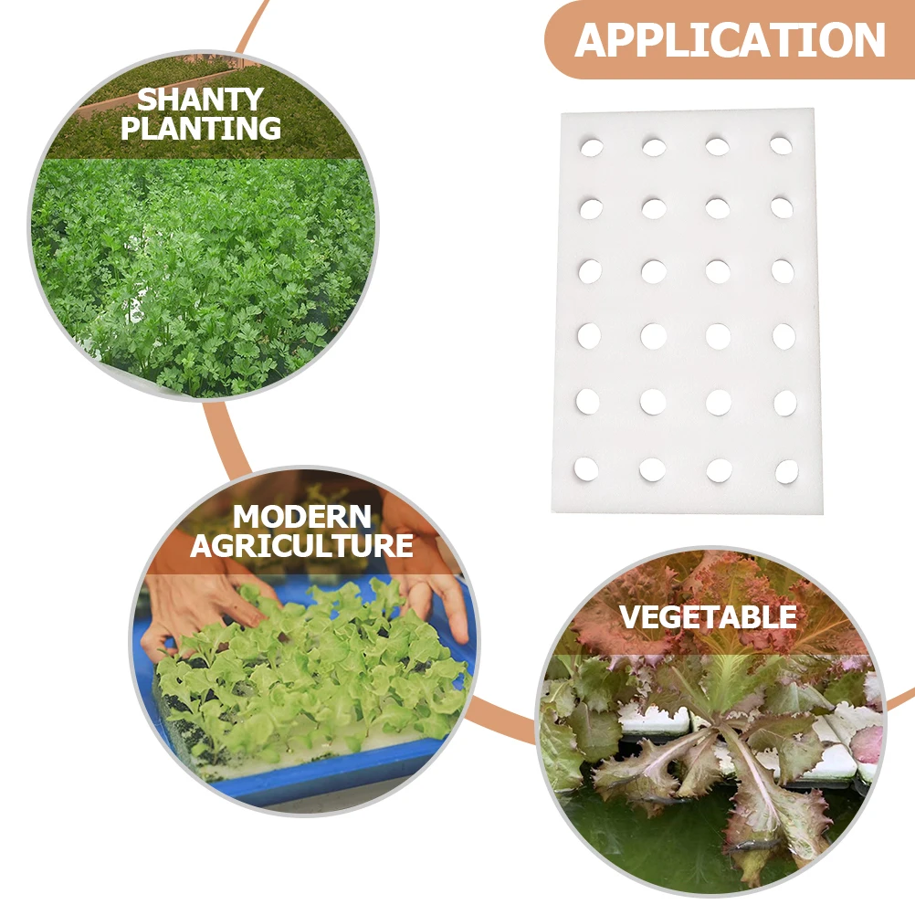 

2Pcs Hydroponic Sponge Plate Lightweight Easy Clean Corrosion Resistant Seedling Tray System Accessories Planting Tools