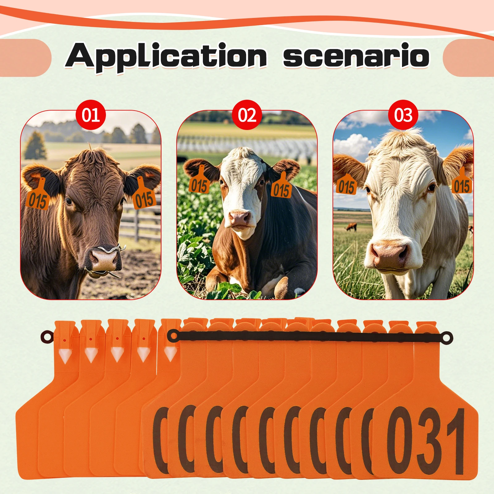 001-50 الماشية البقرة علامات الأذن الكبيرة علامات مع الكلمات أدوات تحديد الحيوانات بولي TPU علامة البقرة خنزير الماعز الأغنام مزرعة علامة (50 قطعة)
